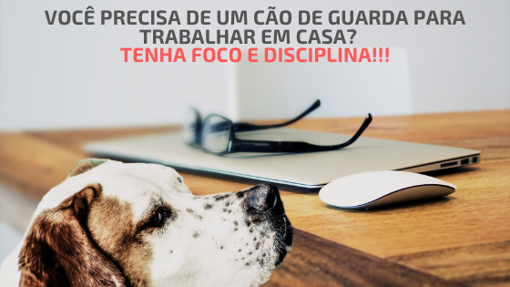 Estou Perdido? Dicas e Recomendações Para Começar a Trabalhar em Casa.